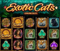 Exotic Cats